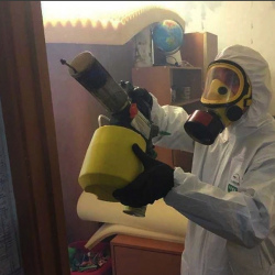 Уничтожение клопов в квартире. Сокольники 